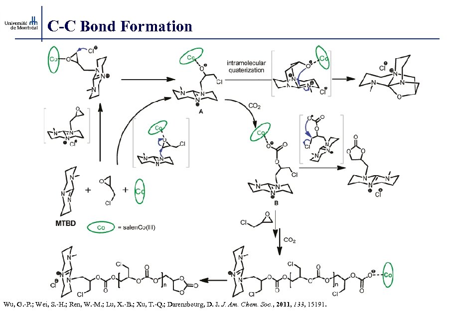 C-C Bond Formation Wu, G. -P. ; Wei, S. -H. ; Ren, W. -M.