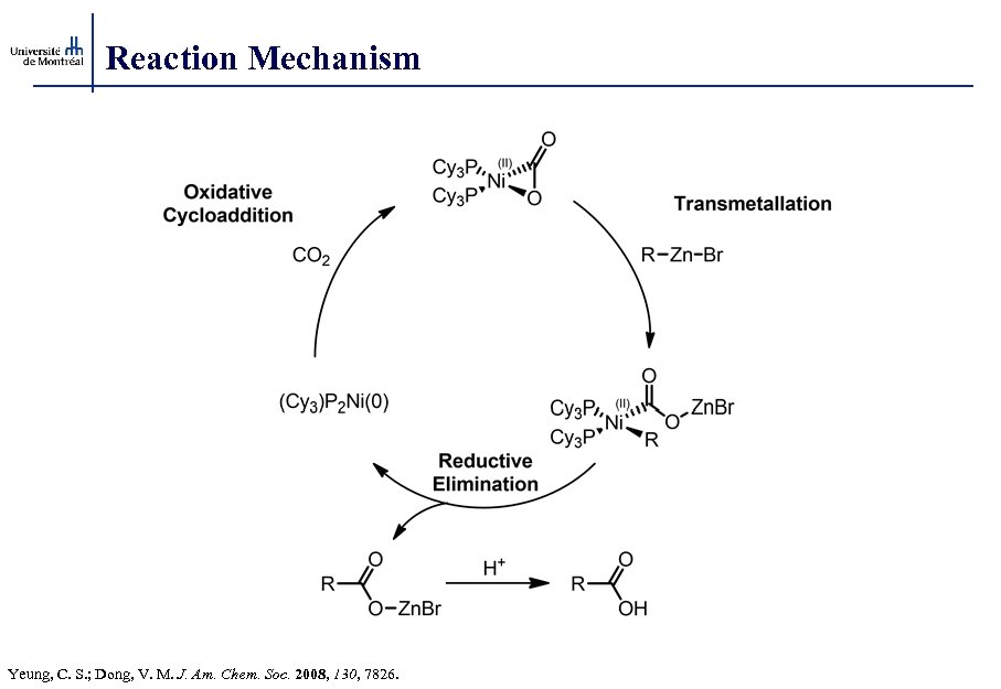 Reaction Mechanism Yeung, C. S. ; Dong, V. M. J. Am. Chem. Soc. 2008,