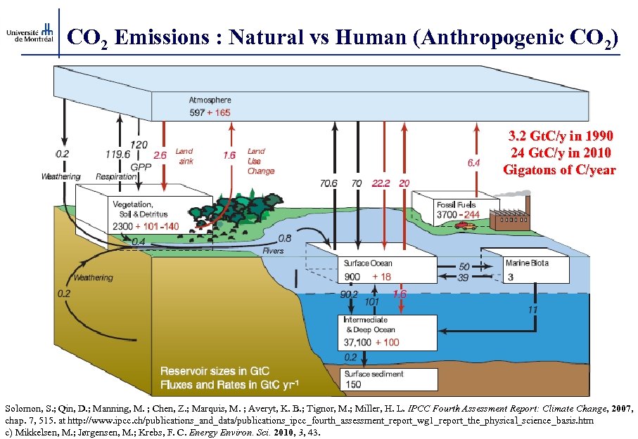 CO 2 Emissions : Natural vs Human (Anthropogenic CO 2) 3. 2 Gt. C/y