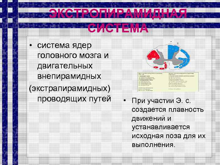 ЭКСТРОПИРАМИДНАЯ СИСТЕМА • система ядер головного мозга и двигательных внепирамидных (экстрапирамидных) проводящих путей •