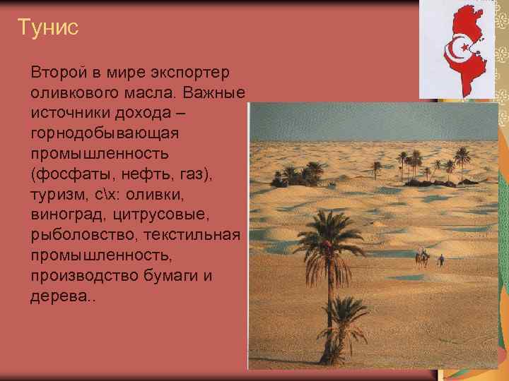 Тунис Второй в мире экспортер оливкового масла. Важные источники дохода – горнодобывающая промышленность (фосфаты,