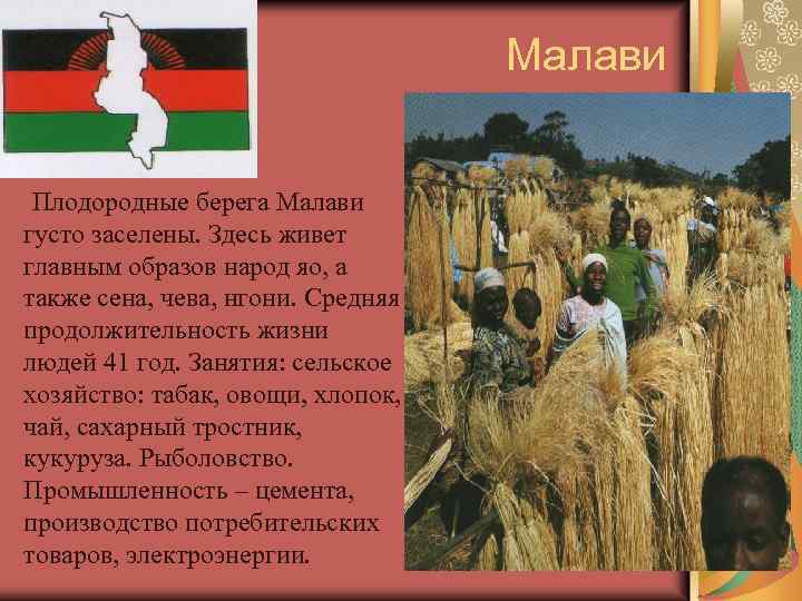 Малави Плодородные берега Малави густо заселены. Здесь живет главным образов народ яо, а также