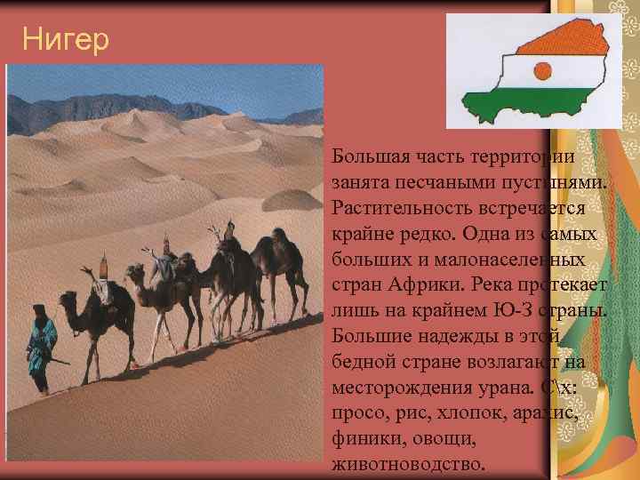 Нигер Большая часть территории занята песчаными пустынями. Растительность встречается крайне редко. Одна из самых