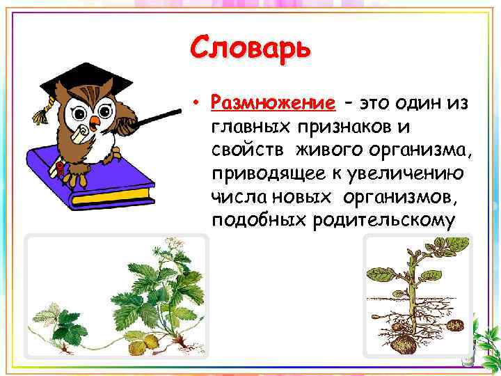 Словарь • Размножение – это один из главных признаков и свойств живого организма, приводящее