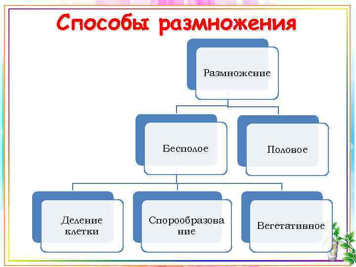 Способы размножения Размножение Бесполое Деление клетки Спорообразова ние Половое Вегетативное 