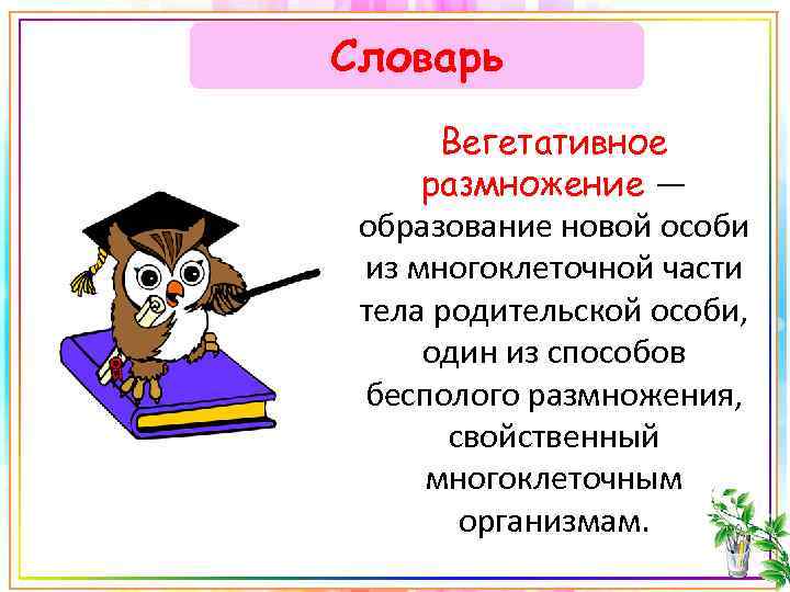 Словарь Вегетативное размножение — образование новой особи из многоклеточной части тела родительской особи, один