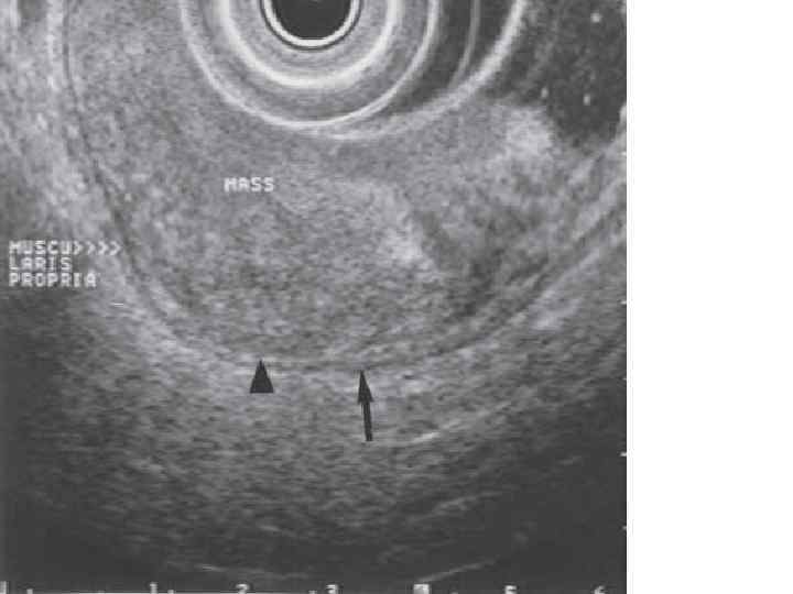 КАФЕДРА ХИРУРГИИ МОСКОВСКОГО ФАКУЛЬТЕТА 