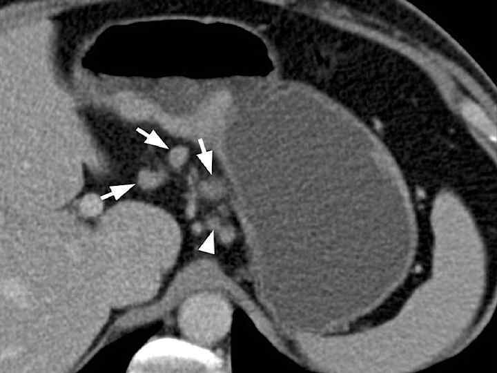 КАФЕДРА ХИРУРГИИ МОСКОВСКОГО ФАКУЛЬТЕТА 