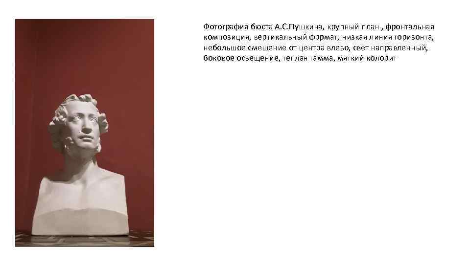 Фотография бюста А. С. Пушкина, крупный план , фронтальная композиция, вертикальный фррмат, низкая линия