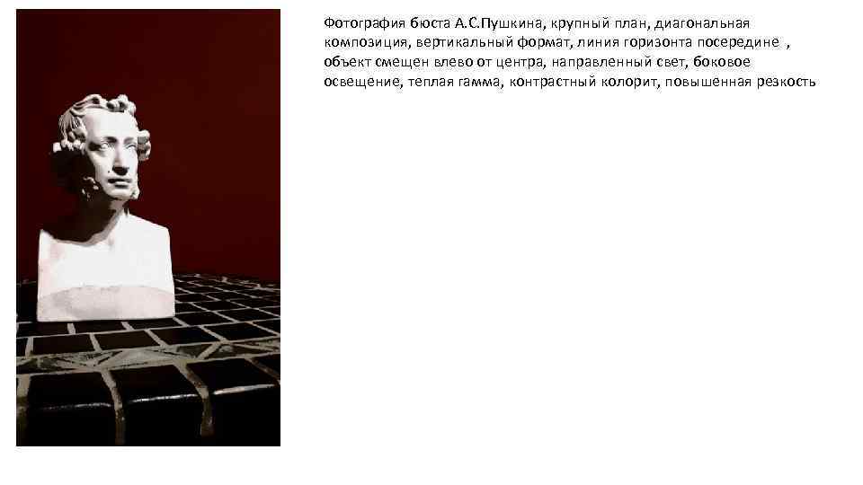 Фотография бюста А. С. Пушкина, крупный план, диагональная композиция, вертикальный формат, линия горизонта посередине