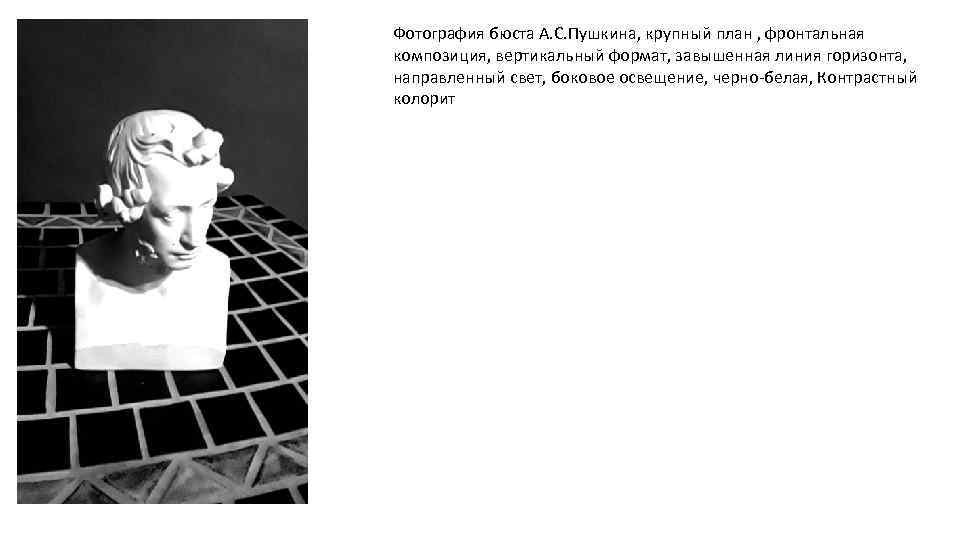 Фотография бюста А. С. Пушкина, крупный план , фронтальная композиция, вертикальный формат, завышенная линия
