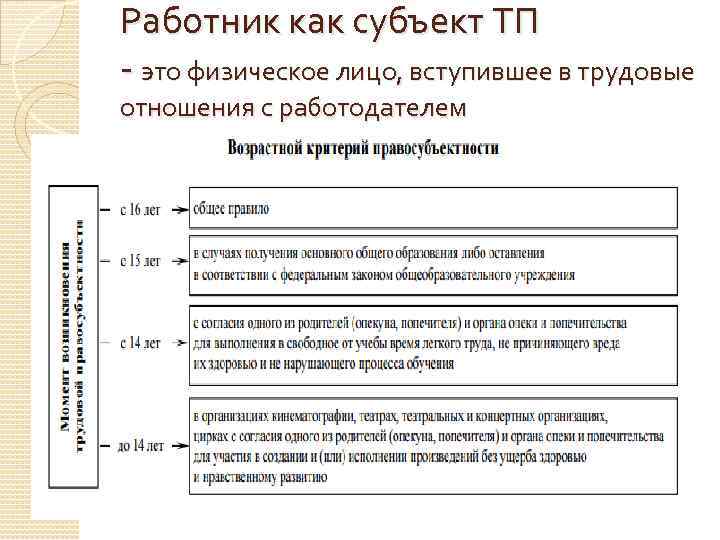 Трудовая правосубъектность схема