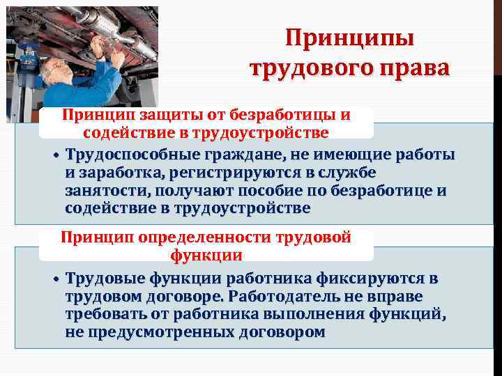 Принципы трудового права Принцип защиты от безработицы и содействие в трудоустройстве • Трудоспособные граждане,