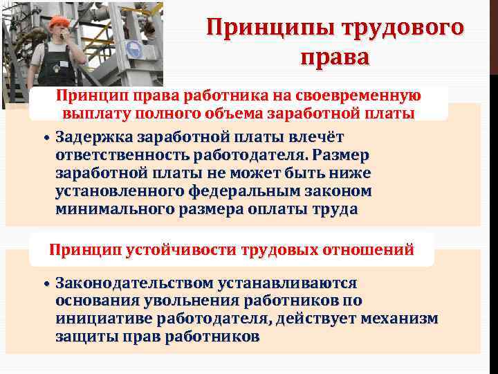 Принципы трудового права Принцип права работника на своевременную выплату полного объема заработной платы •