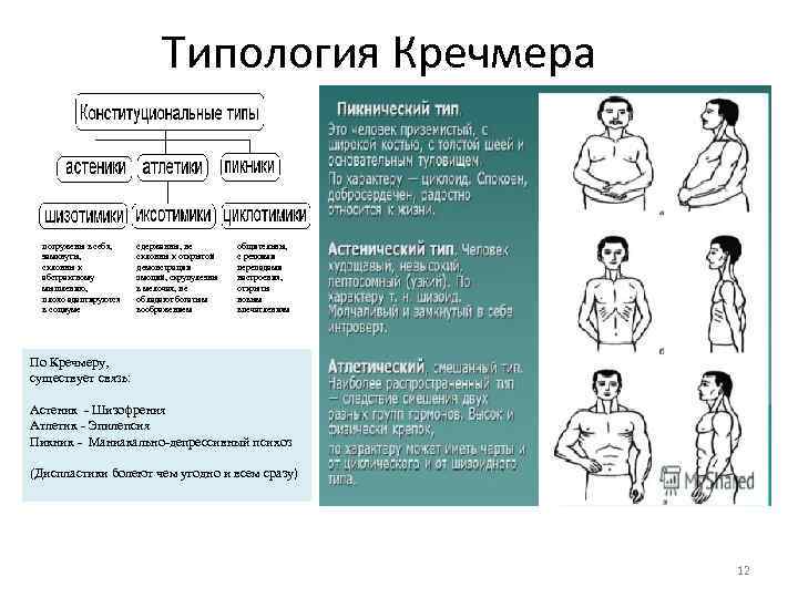 Типология Кречмера погружены в себя, замкнуты, склонны к абстрактному мышлению, плохо адаптируются в социуме