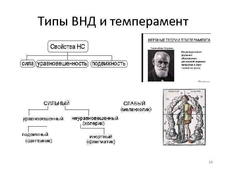 Типы высшей деятельности