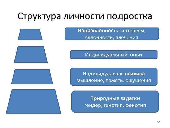 Структура личности подростка Направленность: интересы, склонности, влечения Индивидуальный опыт Индивидуальная психика мышление, память, ощущения