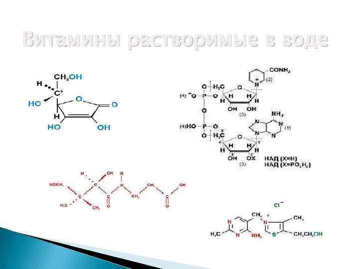 Витамины растворимые в воде 