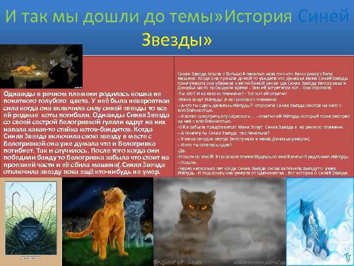 И так мы дошли до темы» История Синей Звезды» Однажды в речном племени родилась