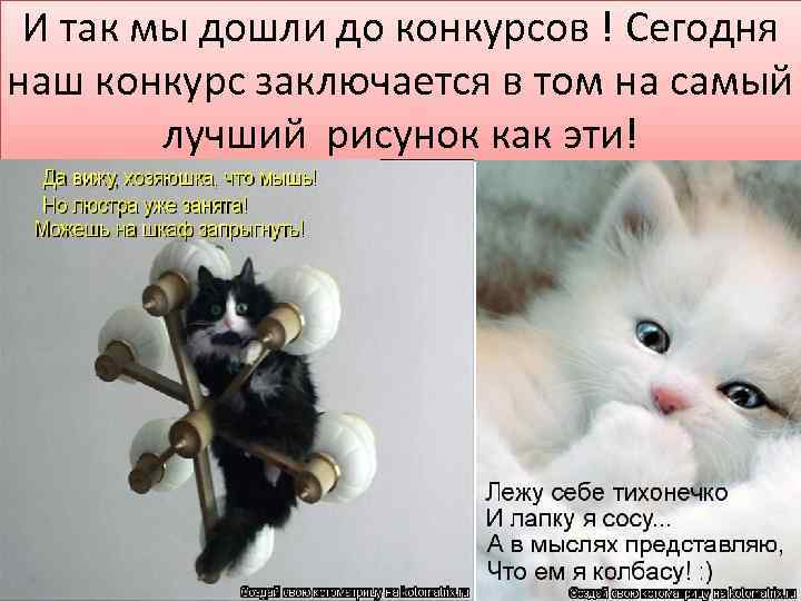 И так мы дошли до конкурсов ! Сегодня наш конкурс заключается в том на