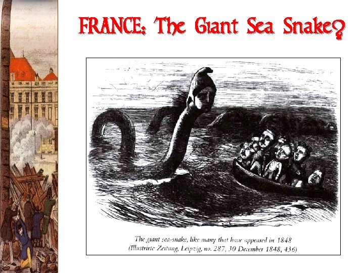 FRANCE: The Giant Sea Snake? 