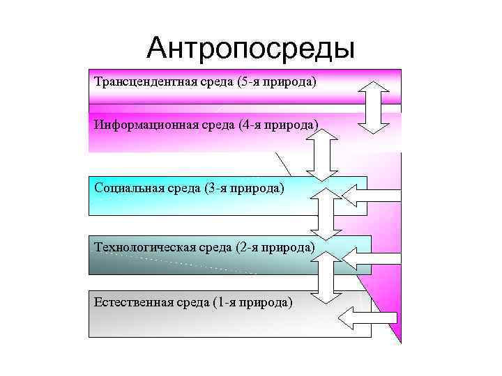 Антропосреды Трансцендентная среда (5 -я природа) Информационная среда (4 -я природа) Социальная среда (3