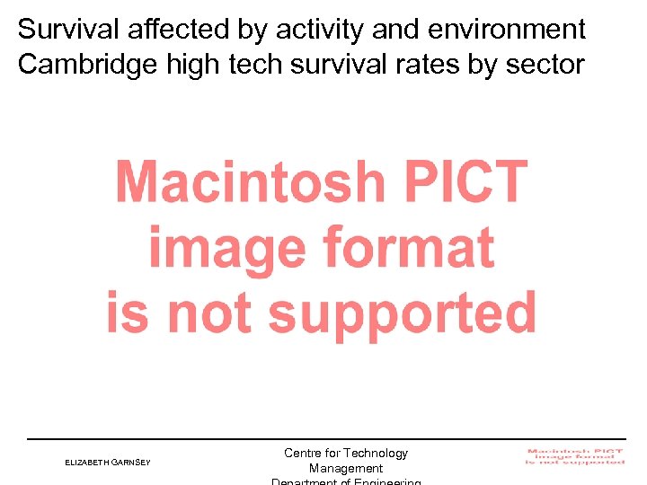 Survival affected by activity and environment Cambridge high tech survival rates by sector ELIZABETH