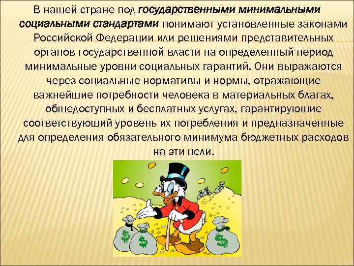 В нашей стране под государственными минимальными социальными стандартами понимают установленные законами Российской Федерации или