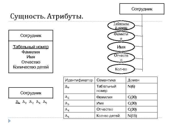 Сотрудник Сущность. Атрибуты. Табельны й номер Сотрудник Фамили я Табельный номер Фамилия Имя Отчество