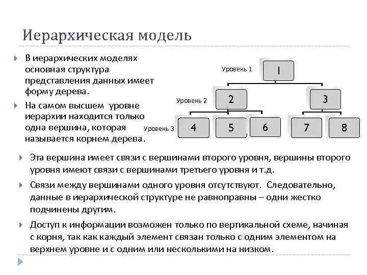 Иерархическая модель В иерархических моделях основная структура представления данных имеет форму дерева. Уровень 2