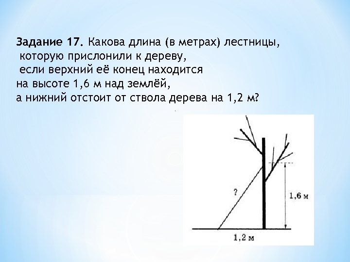 Какова длина в метрах. Длину лестницы которую прислонили к дереву. Лестницу длинной 3 метра прислонили к дереву. Лестница длинной 2.5 м прислонили к дереву. Лестницу длиной 3 м прислонили к дереву.