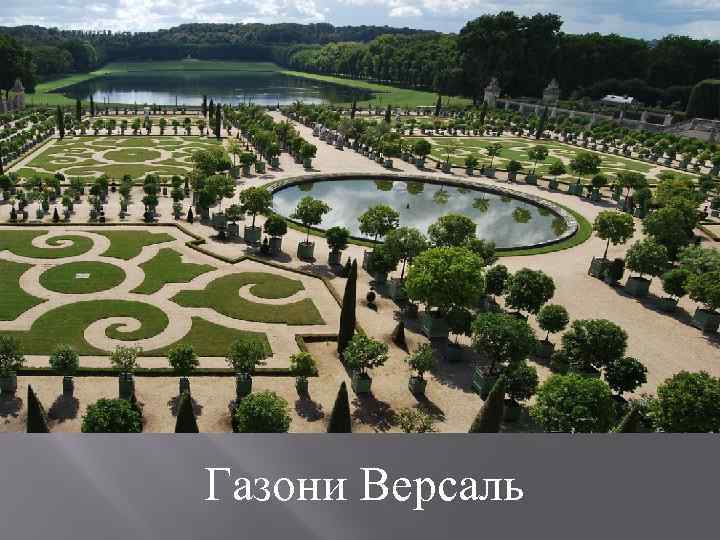 Газони Версаль 