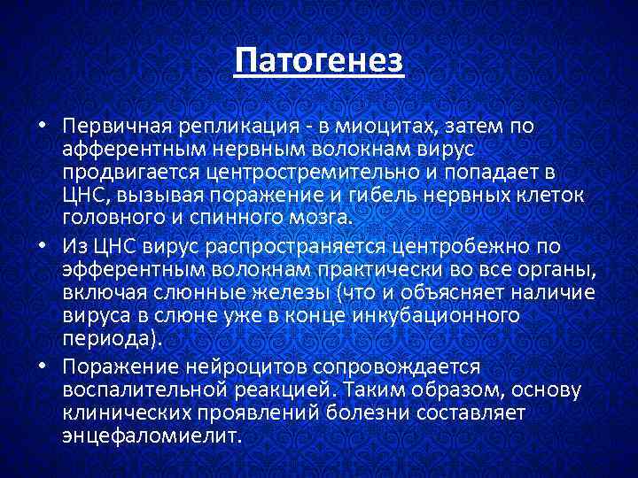 Патогенез • Первичная репликация - в миоцитах, затем по афферентным нервным волокнам вирус продвигается