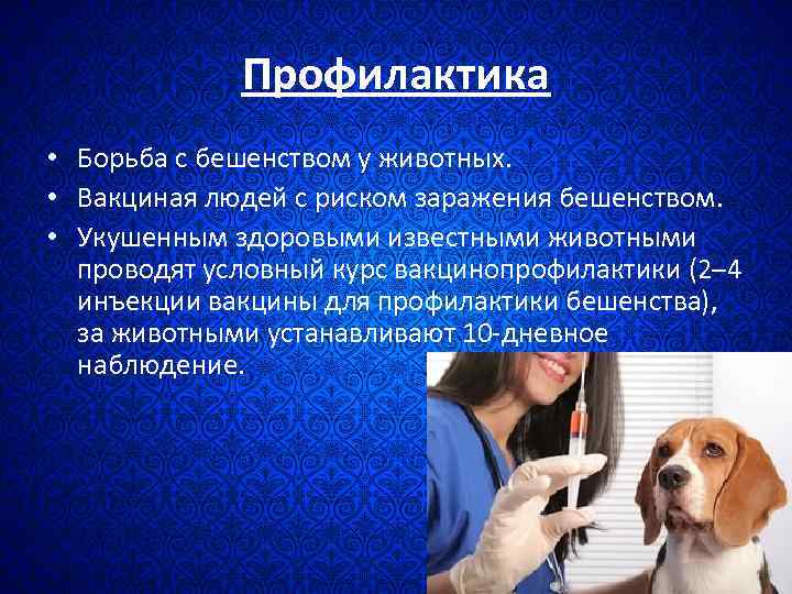 Профилактика • Борьба с бешенством у животных. • Вакциная людей с риском заражения бешенством.
