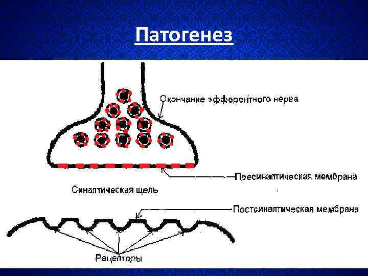 Ботулизм патогенез схема