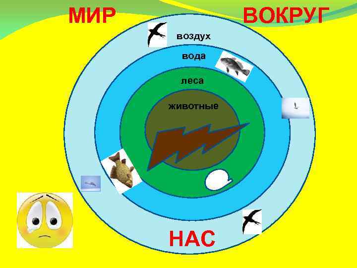 МИР ВОКРУГ воздух вода леса животные НАС 