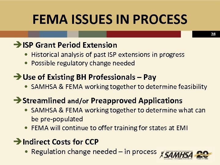 FEMA ISSUES IN PROCESS 28 èISP Grant Period Extension • Historical analysis of past