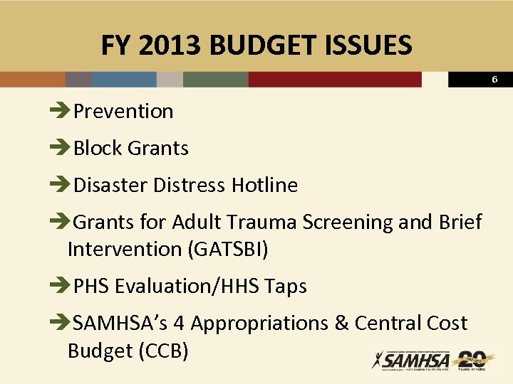FY 2013 BUDGET ISSUES 6 èPrevention èBlock Grants èDisaster Distress Hotline èGrants for Adult