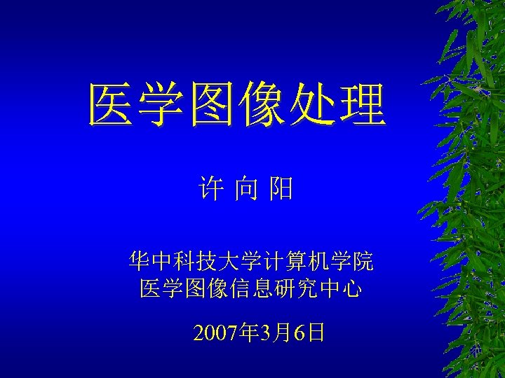 医学图像处理 许向阳 华中科技大学计算机学院 医学图像信息研究中心 2007年 3月6日 