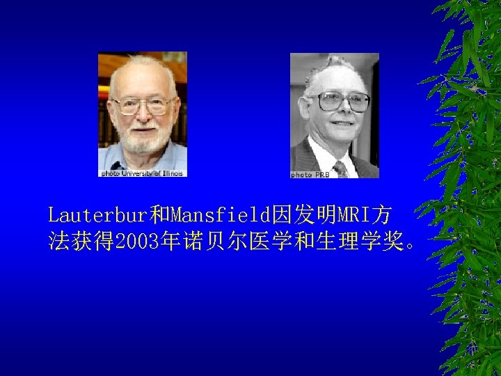 Lauterbur和Mansfield因发明MRI方 法获得 2003年诺贝尔医学和生理学奖。 