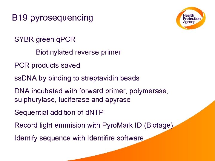 B 19 pyrosequencing SYBR green q. PCR Biotinylated reverse primer PCR products saved ss.