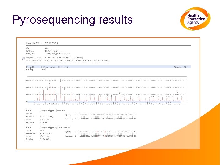 Pyrosequencing results 