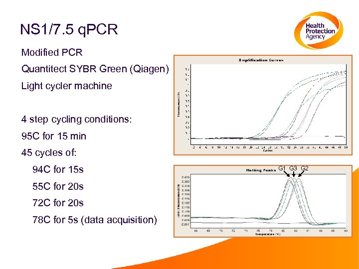 NS 1/7. 5 q. PCR Modified PCR Quantitect SYBR Green (Qiagen) Light cycler machine