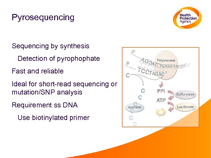 Pyrosequencing Sequencing by synthesis Detection of pyrophophate Fast and reliable Ideal for short-read sequencing