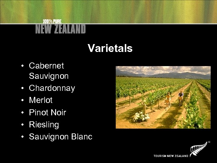 Varietals • Cabernet Sauvignon • Chardonnay • Merlot • Pinot Noir • Riesling •