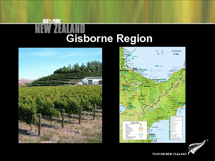 Gisborne Region 