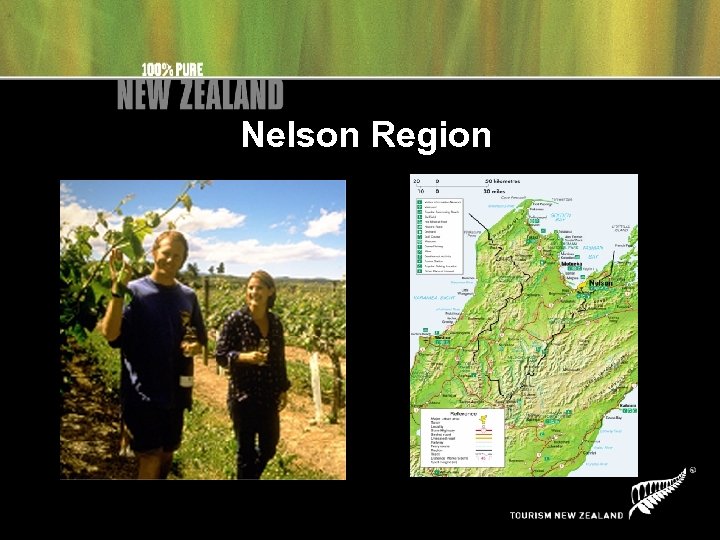 Nelson Region 