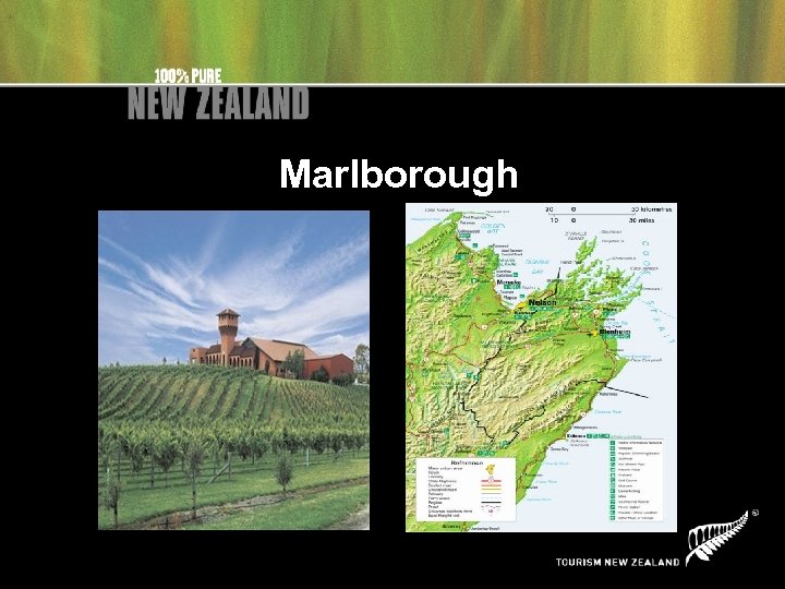 Marlborough 
