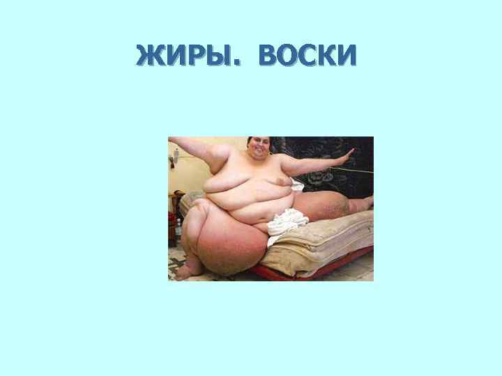 ЖИРЫ. ВОСКИ 