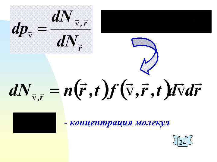 - концентрация молекул 24 